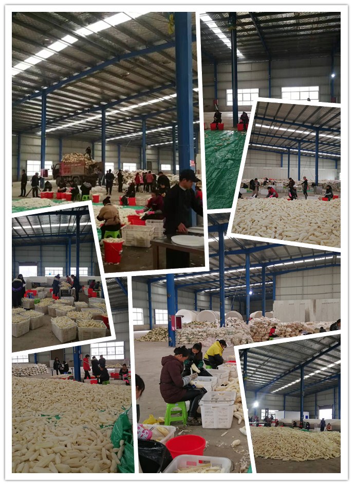 腾博会官网 - 诚信为本,专业服务!