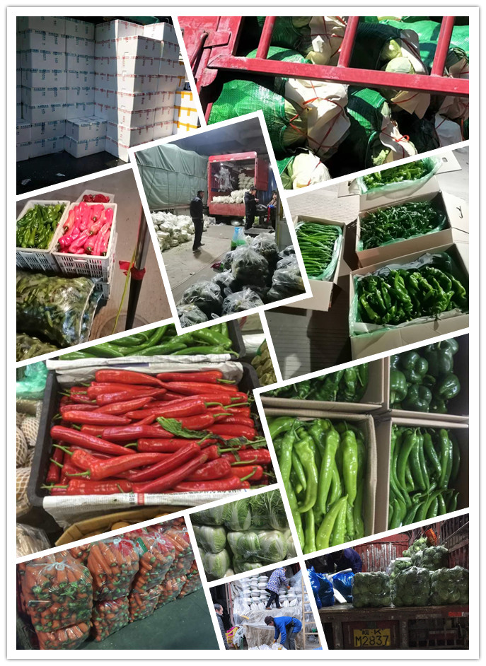 腾博会官网 - 诚信为本,专业服务!