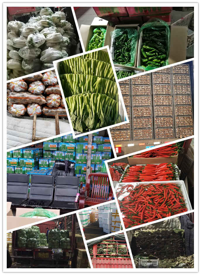 腾博会官网 - 诚信为本,专业服务!