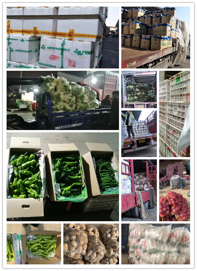 腾博会官网 - 诚信为本,专业服务!