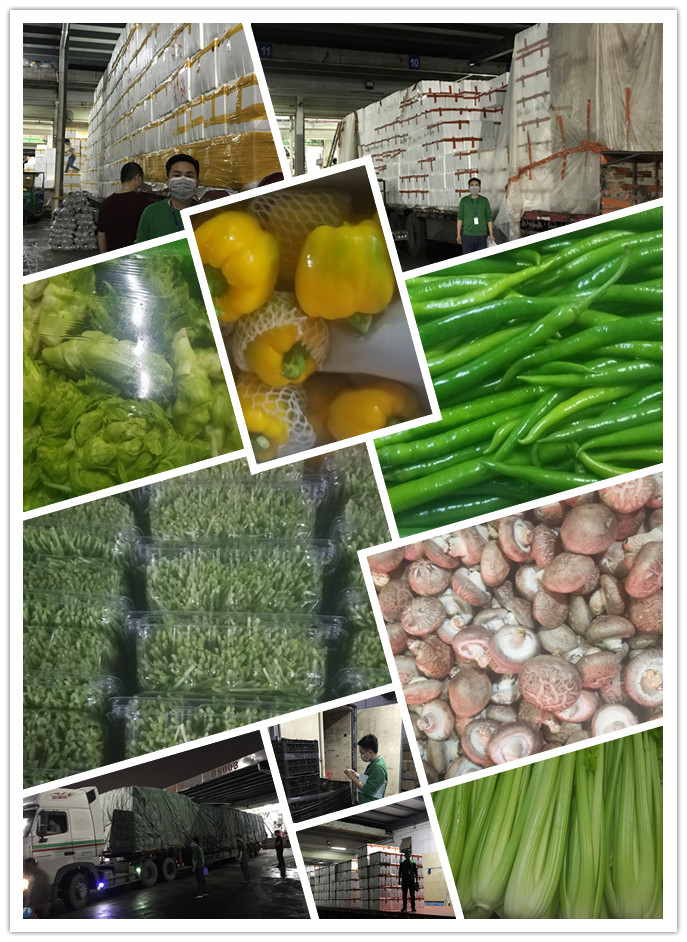 腾博会官网 - 诚信为本,专业服务!