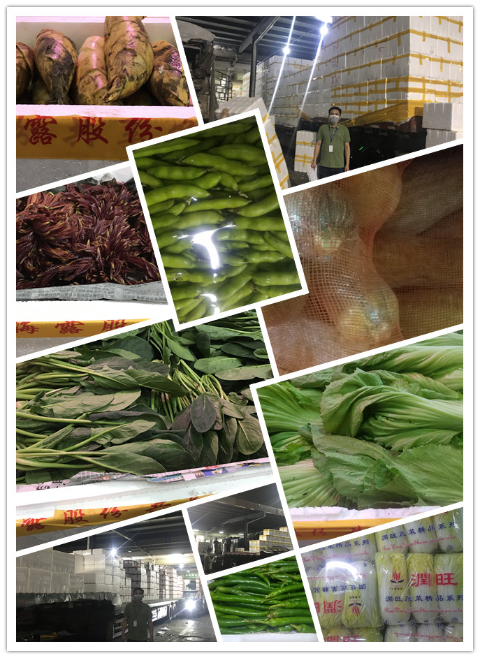 腾博会官网 - 诚信为本,专业服务!