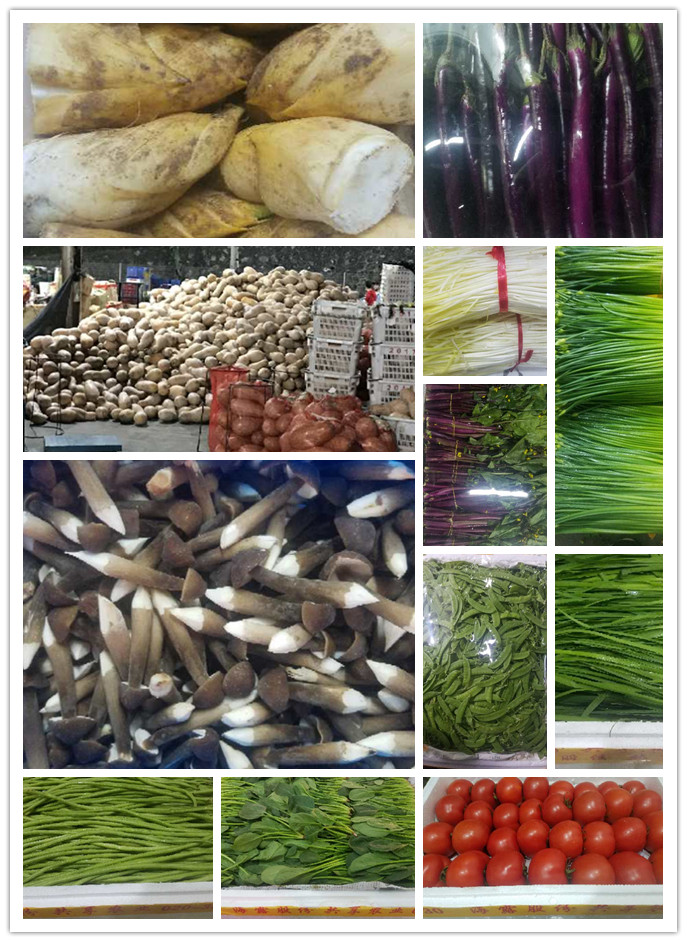 腾博会官网 - 诚信为本,专业服务!