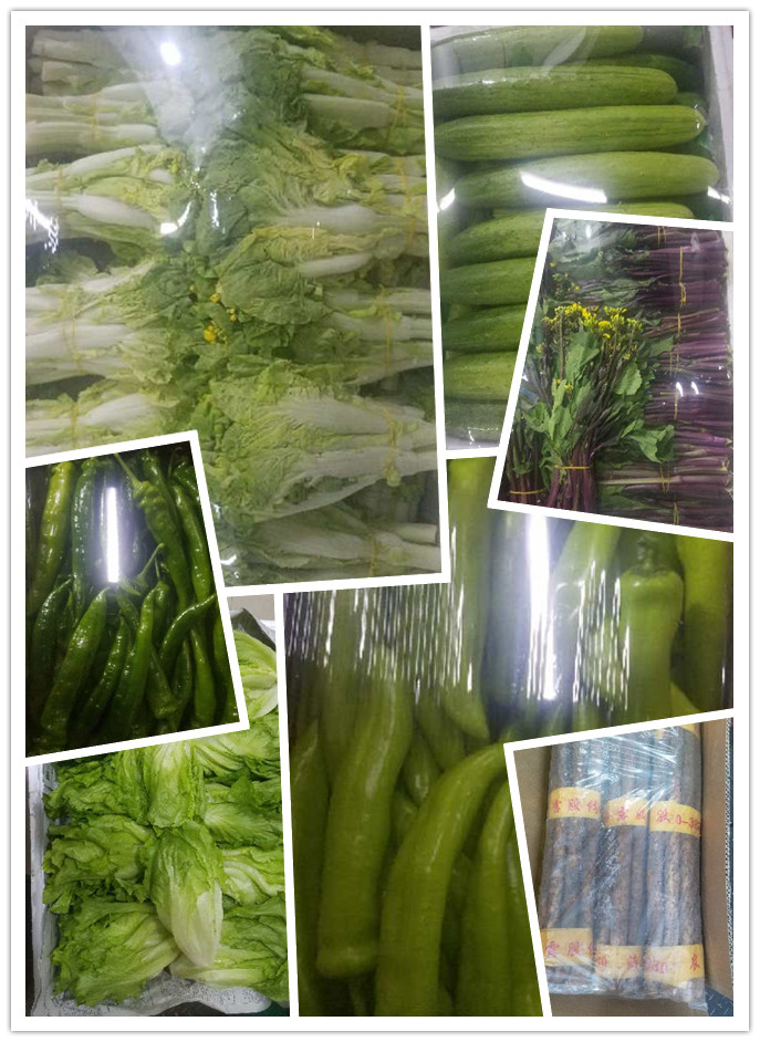 腾博会官网 - 诚信为本,专业服务!