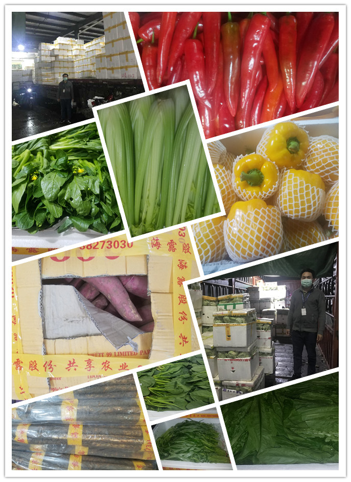 腾博会官网 - 诚信为本,专业服务!