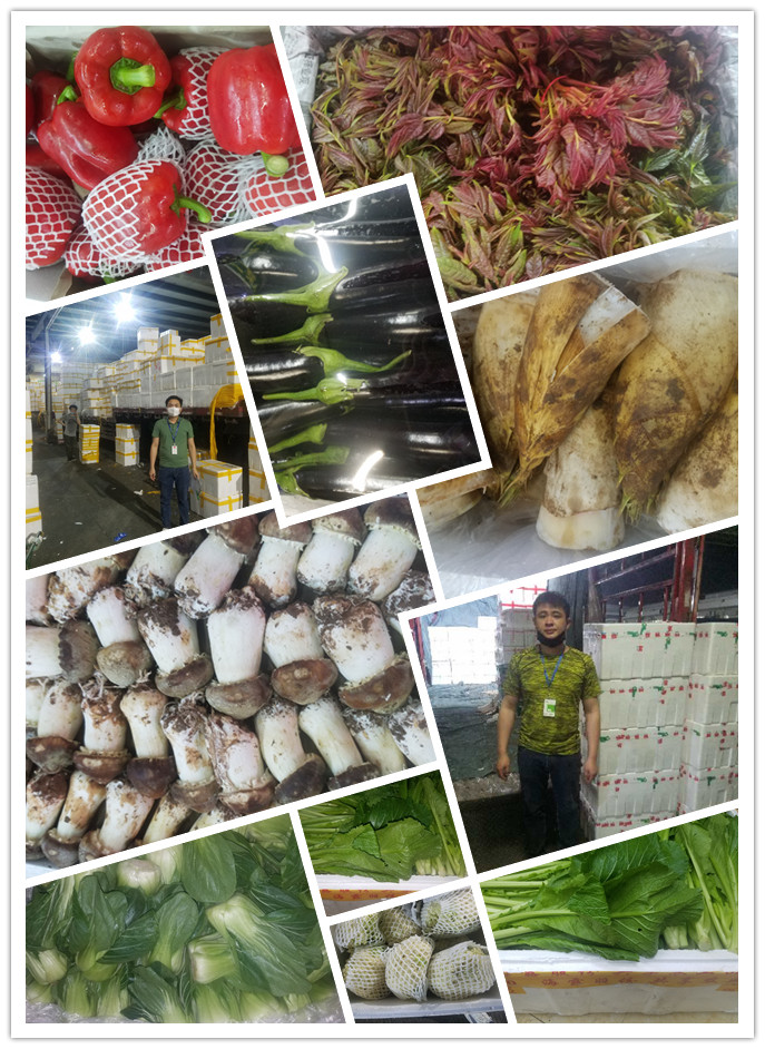 腾博会官网 - 诚信为本,专业服务!