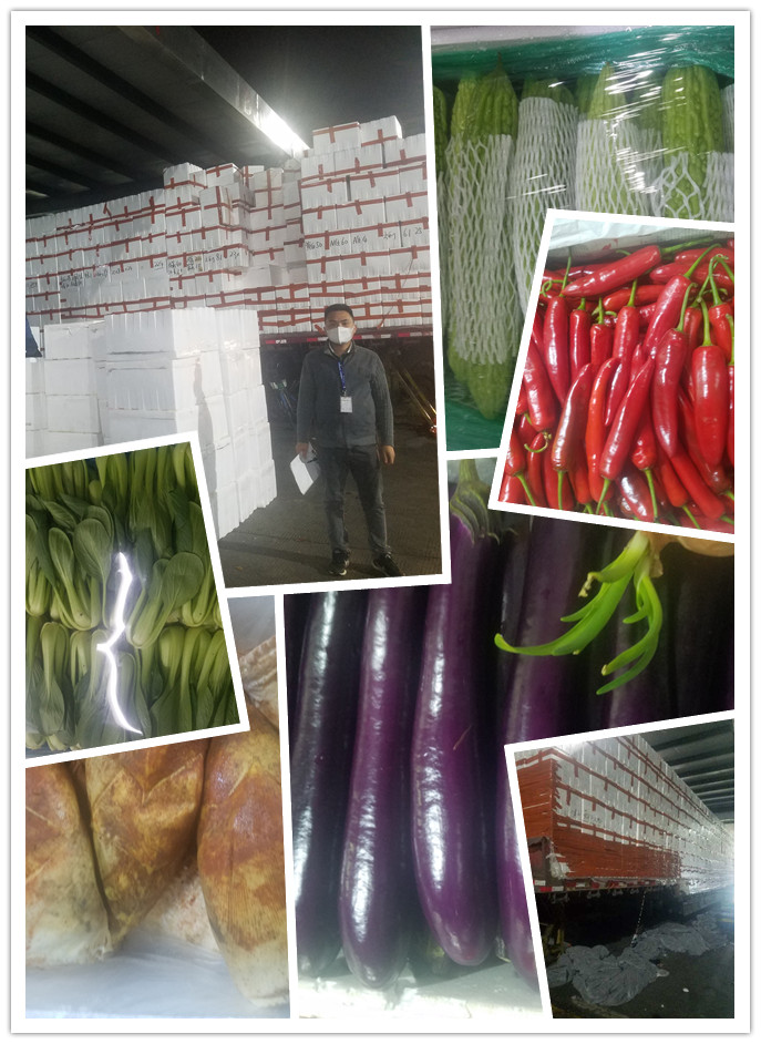 腾博会官网 - 诚信为本,专业服务!