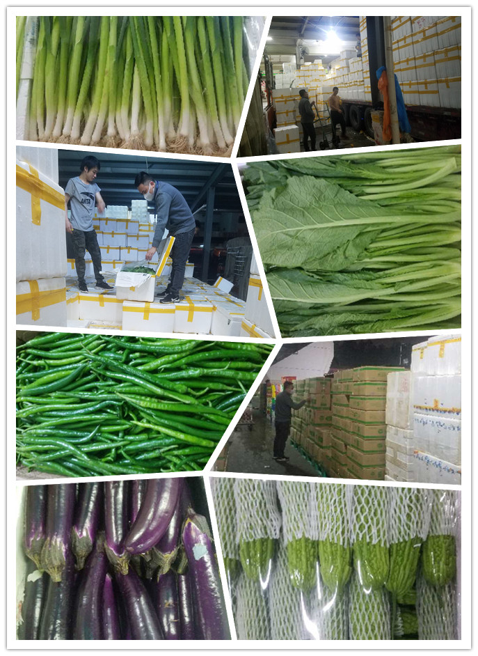 腾博会官网 - 诚信为本,专业服务!