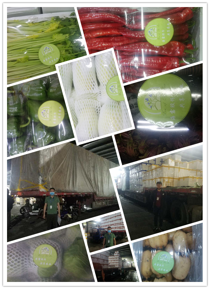 腾博会官网 - 诚信为本,专业服务!