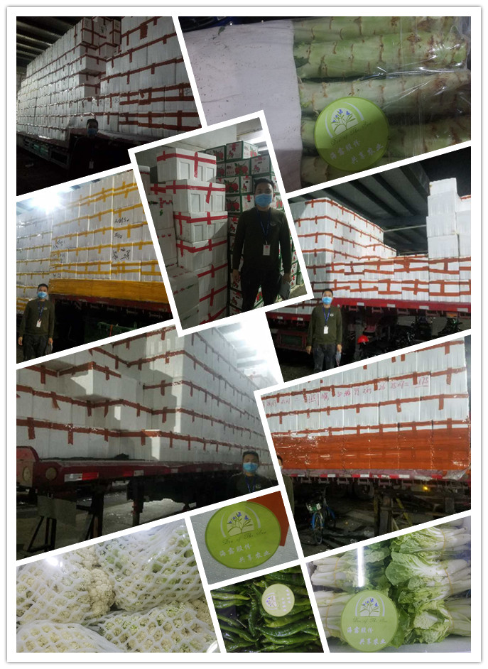 腾博会官网 - 诚信为本,专业服务!