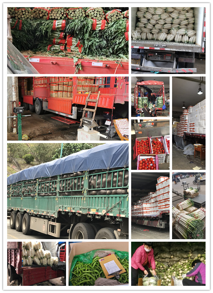 腾博会官网 - 诚信为本,专业服务!