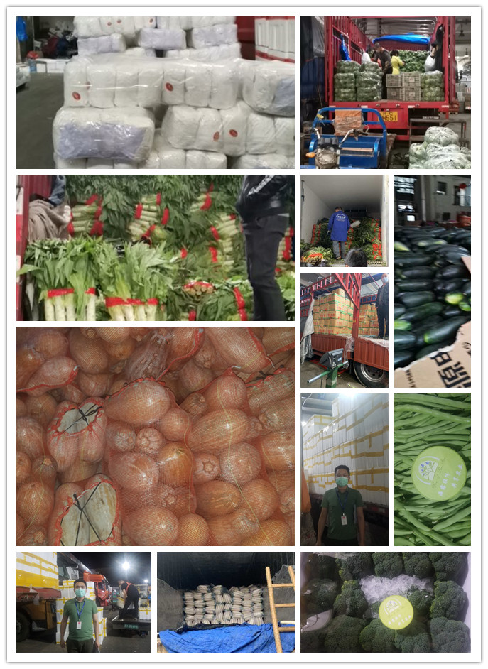 腾博会官网 - 诚信为本,专业服务!