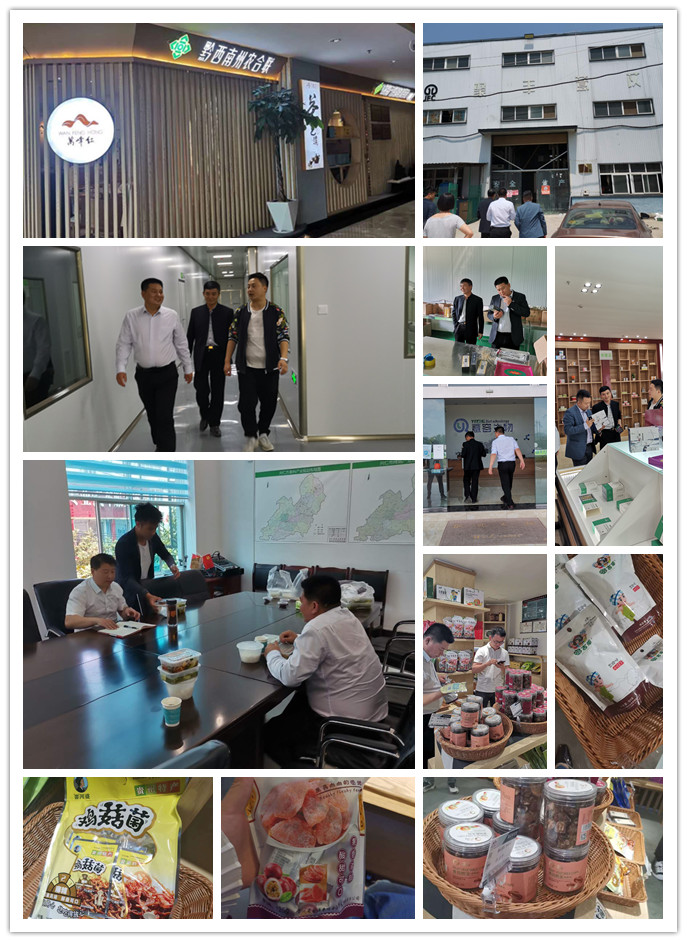 腾博会官网 - 诚信为本,专业服务!