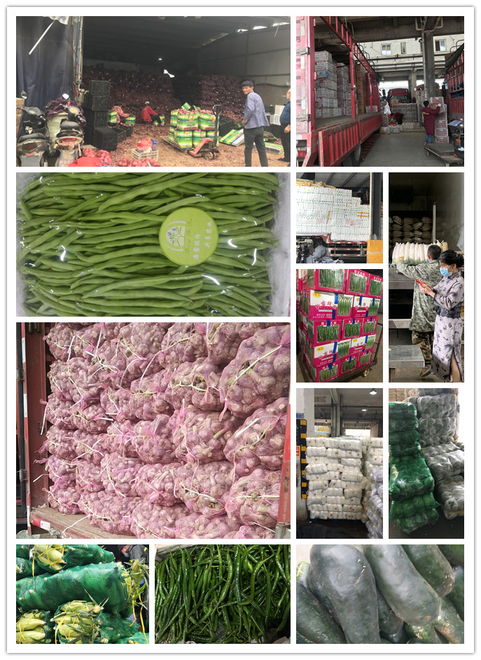 腾博会官网 - 诚信为本,专业服务!