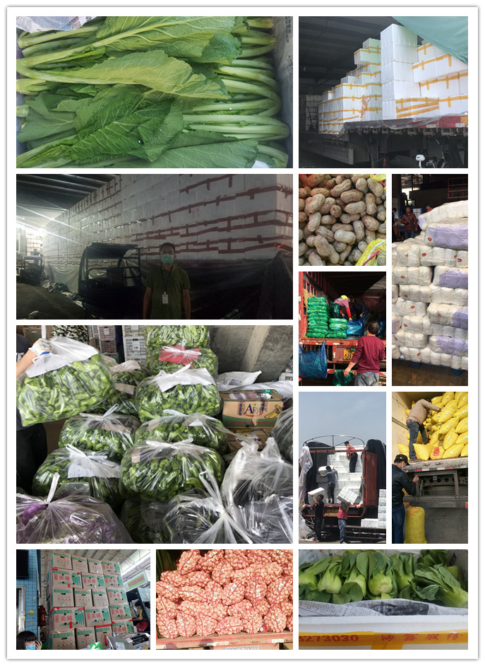 腾博会官网 - 诚信为本,专业服务!