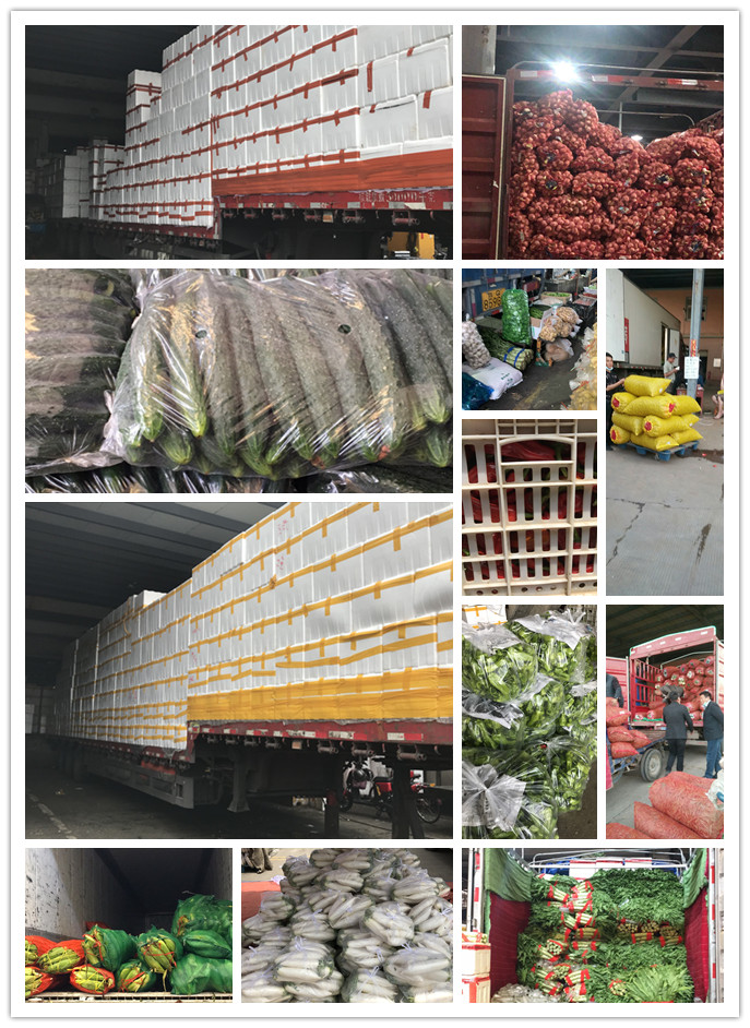 腾博会官网 - 诚信为本,专业服务!