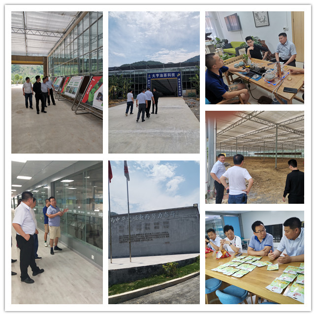 腾博会官网 - 诚信为本,专业服务!