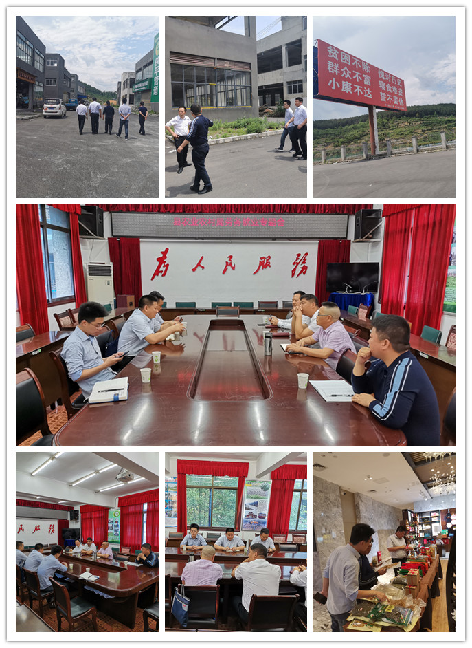 腾博会官网 - 诚信为本,专业服务!