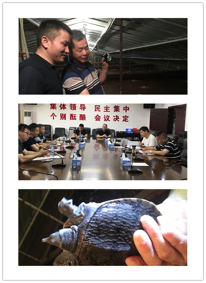 腾博会官网 - 诚信为本,专业服务!