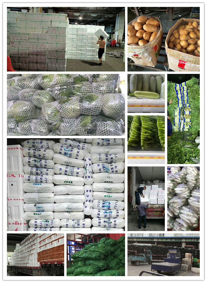 腾博会官网 - 诚信为本,专业服务!