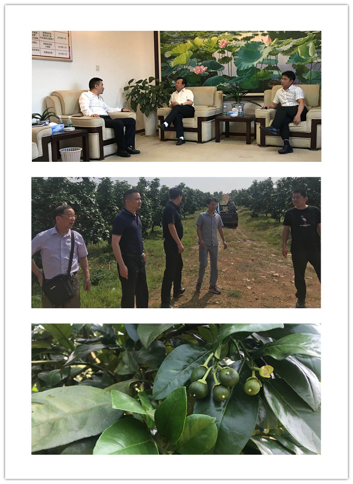 腾博会官网 - 诚信为本,专业服务!