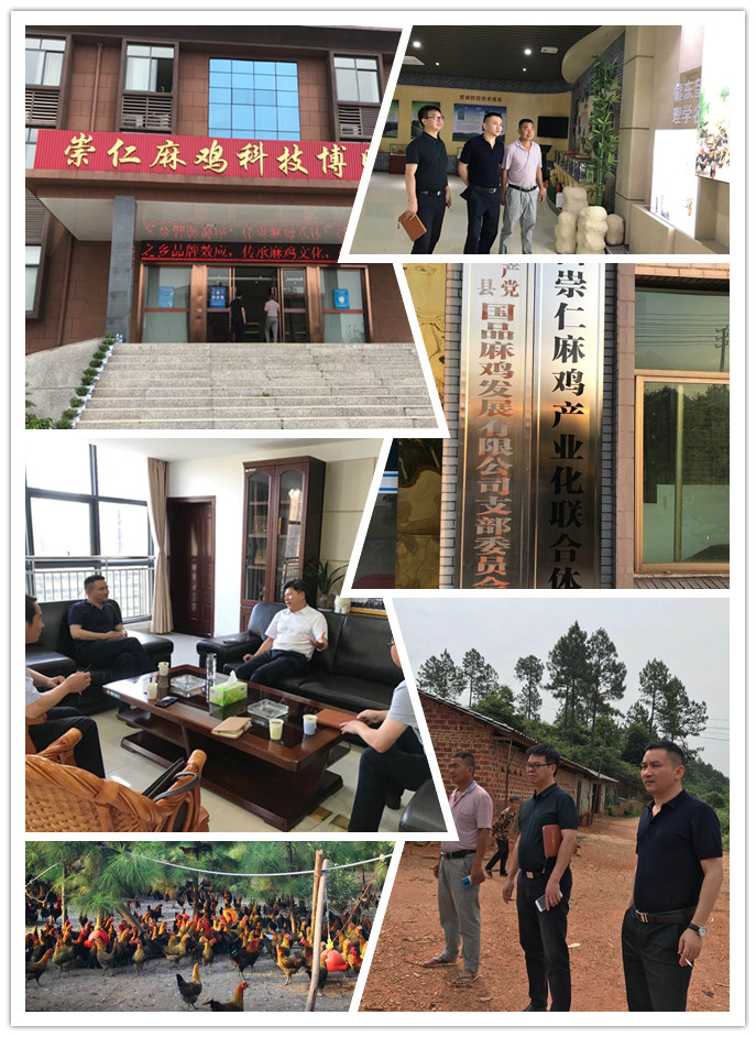 腾博会官网 - 诚信为本,专业服务!