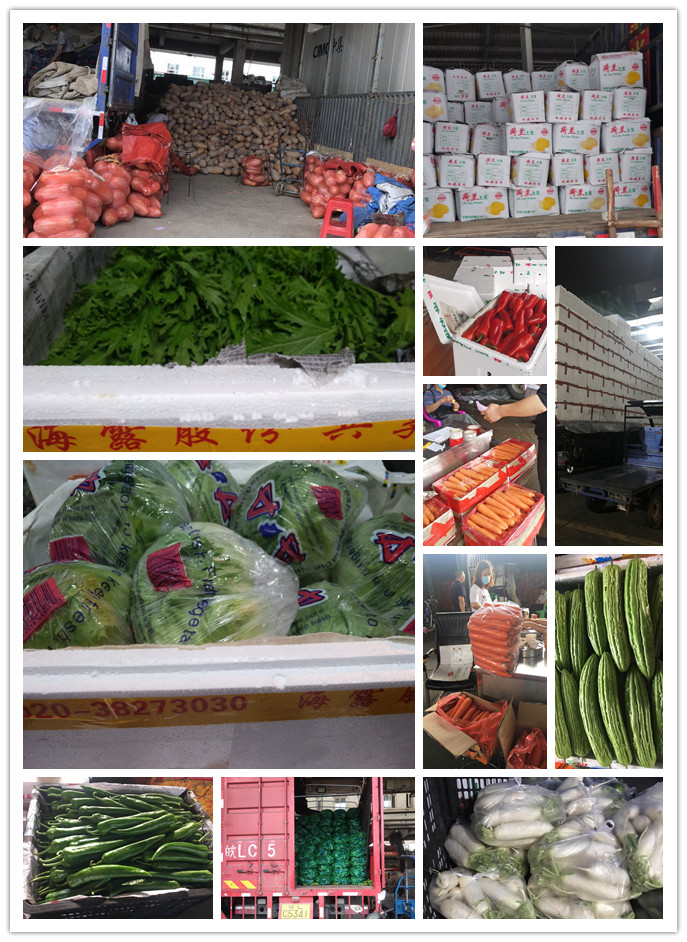 腾博会官网 - 诚信为本,专业服务!