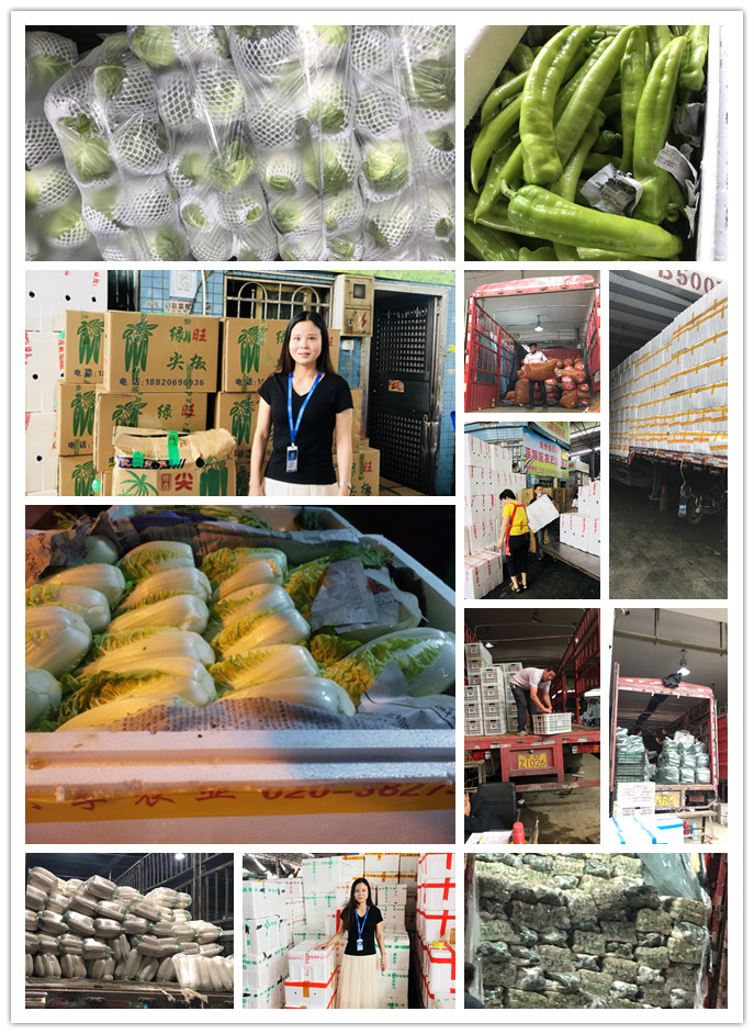 腾博会官网 - 诚信为本,专业服务!