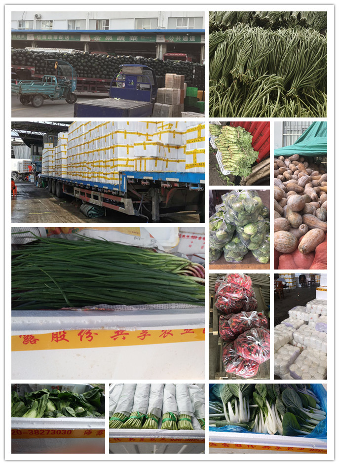 腾博会官网 - 诚信为本,专业服务!