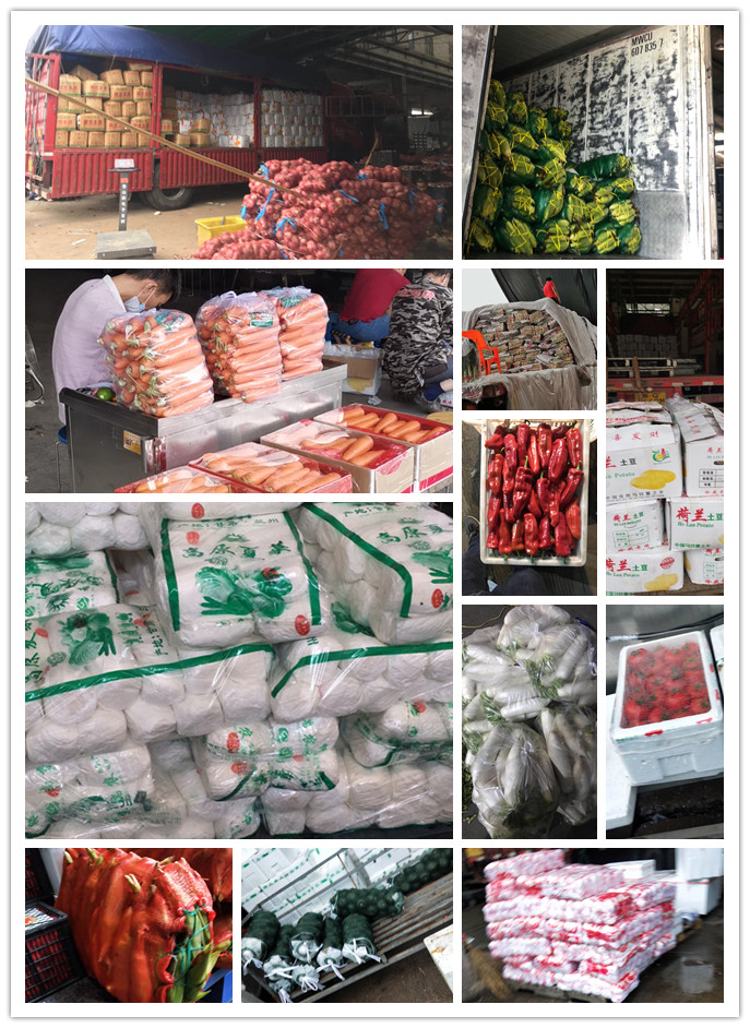 腾博会官网 - 诚信为本,专业服务!