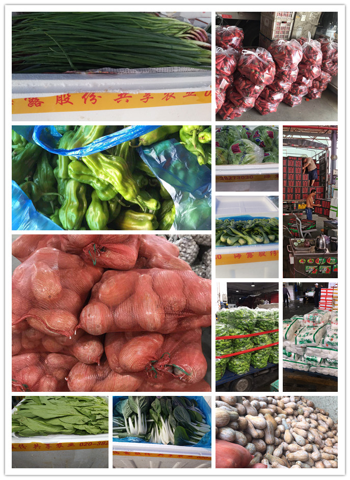 腾博会官网 - 诚信为本,专业服务!