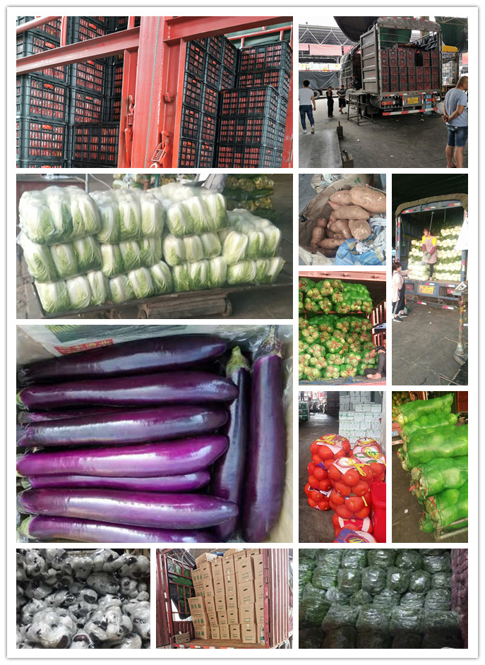 腾博会官网 - 诚信为本,专业服务!