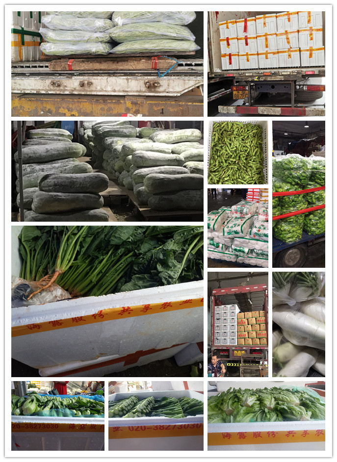 腾博会官网 - 诚信为本,专业服务!