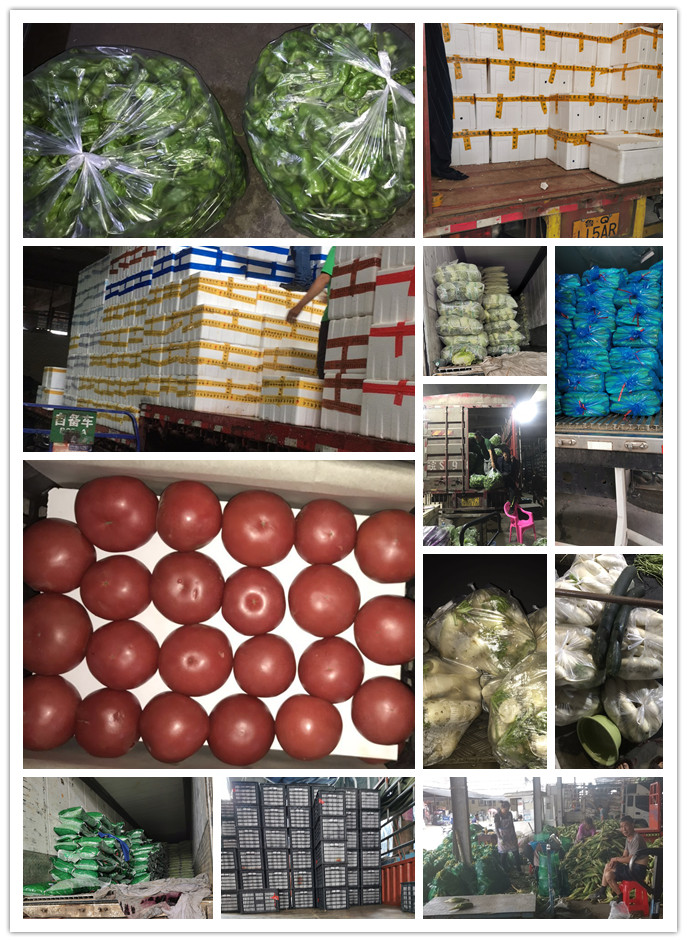 腾博会官网 - 诚信为本,专业服务!