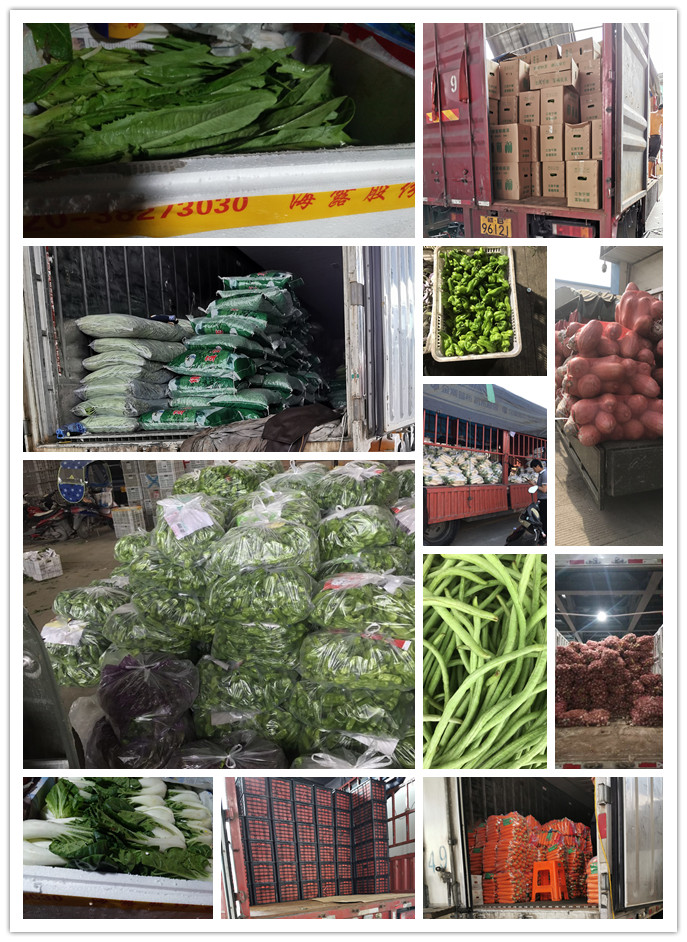 腾博会官网 - 诚信为本,专业服务!