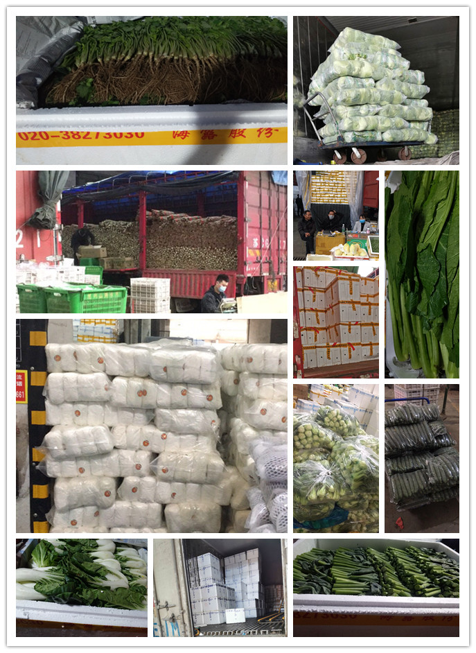 腾博会官网 - 诚信为本,专业服务!