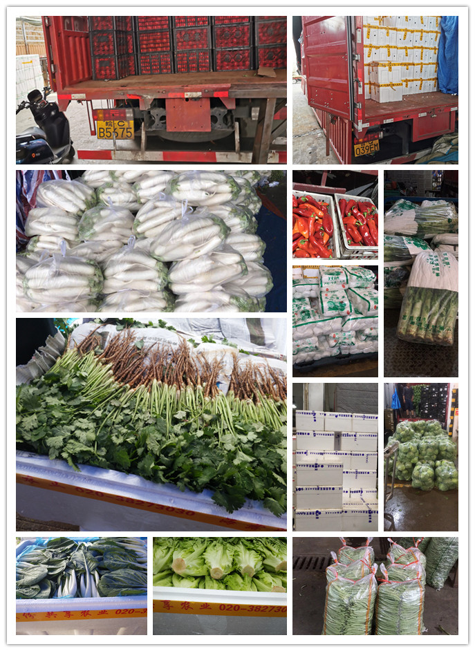 腾博会官网 - 诚信为本,专业服务!