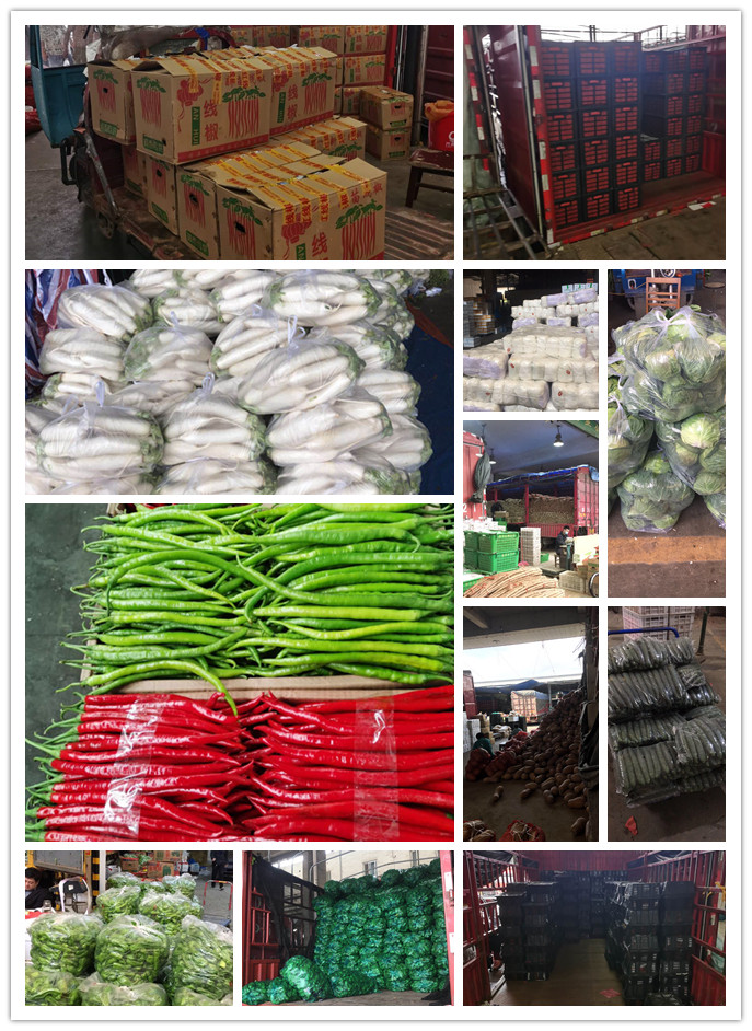 腾博会官网 - 诚信为本,专业服务!