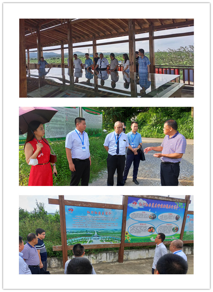 腾博会官网 - 诚信为本,专业服务!