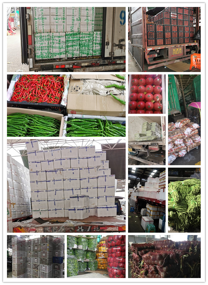 腾博会官网 - 诚信为本,专业服务!