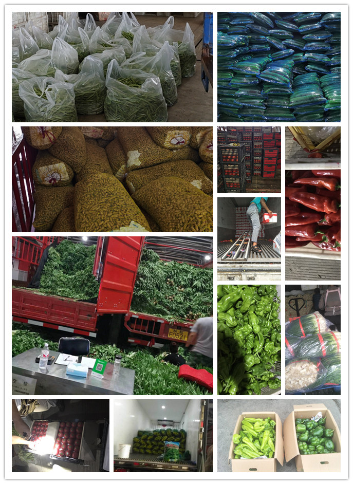 腾博会官网 - 诚信为本,专业服务!