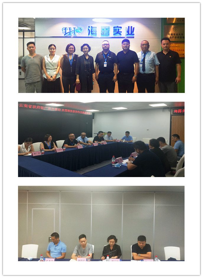 腾博会官网 - 诚信为本,专业服务!