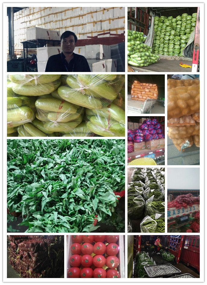 腾博会官网 - 诚信为本,专业服务!