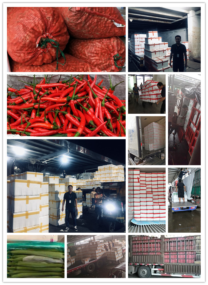 腾博会官网 - 诚信为本,专业服务!