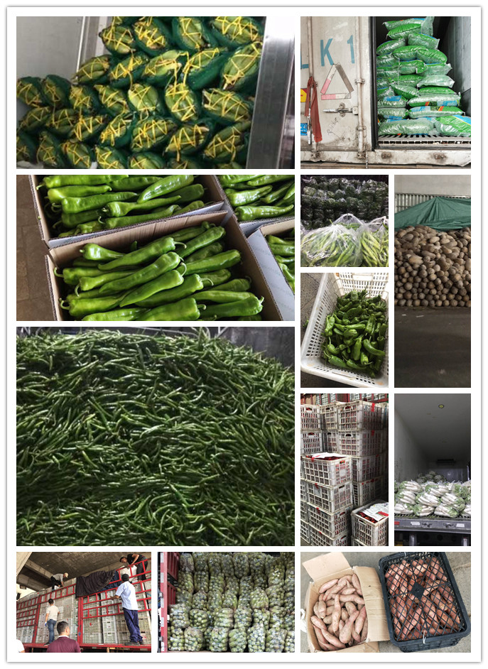 腾博会官网 - 诚信为本,专业服务!