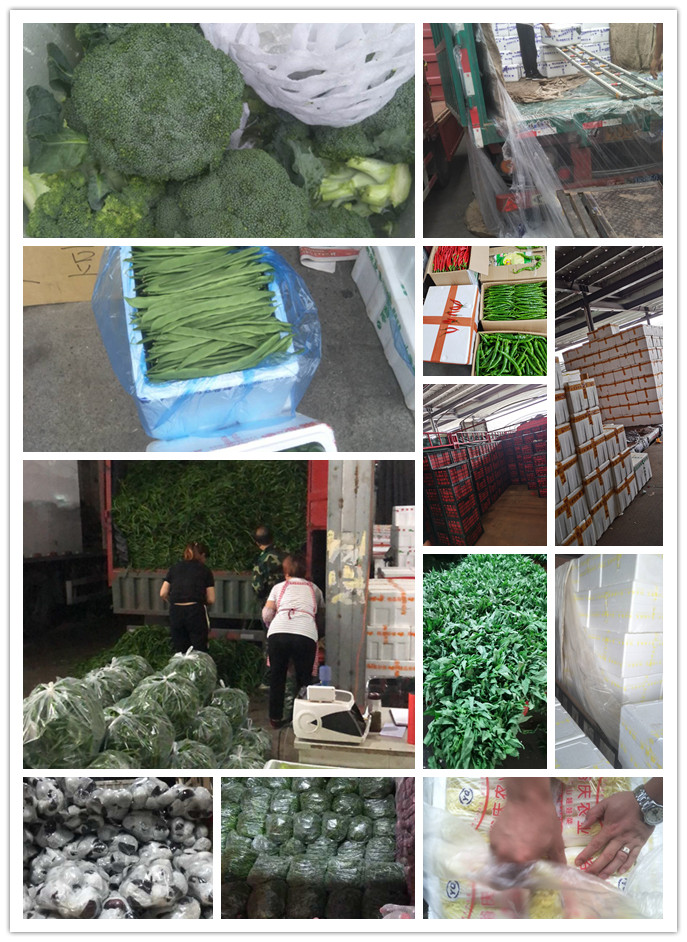 腾博会官网 - 诚信为本,专业服务!