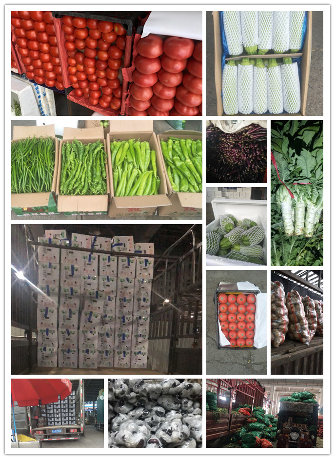 腾博会官网 - 诚信为本,专业服务!