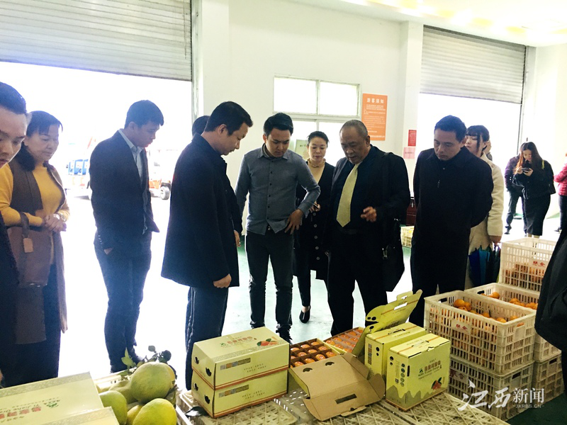 腾博会官网 - 诚信为本,专业服务!