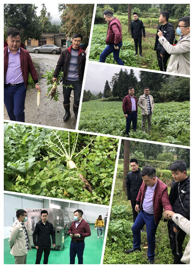 腾博会官网 - 诚信为本,专业服务!