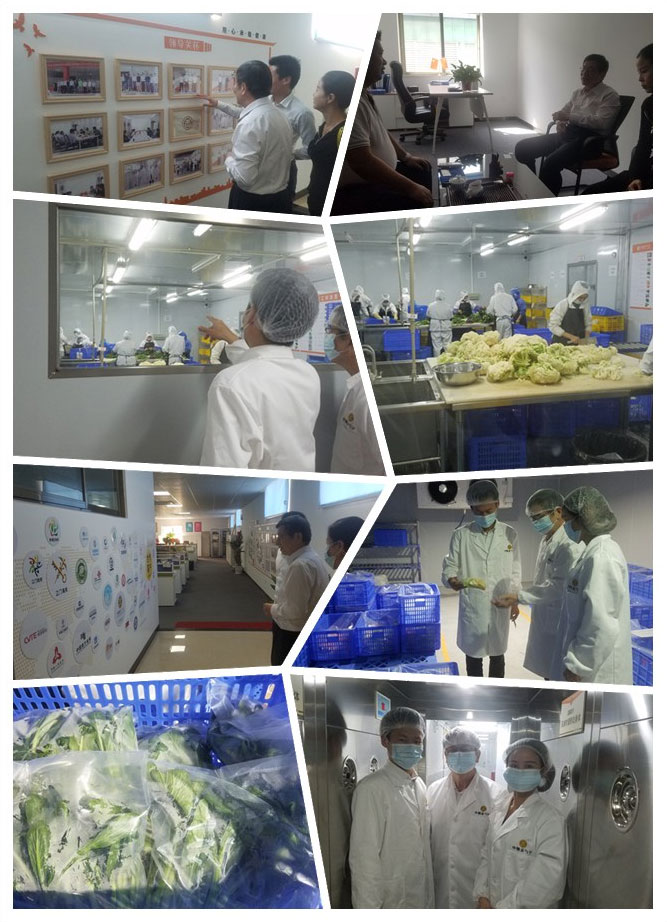 腾博会官网 - 诚信为本,专业服务!